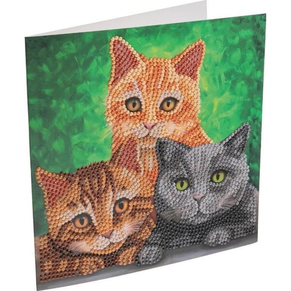 Cats, 18x18cm Crystal Art Card