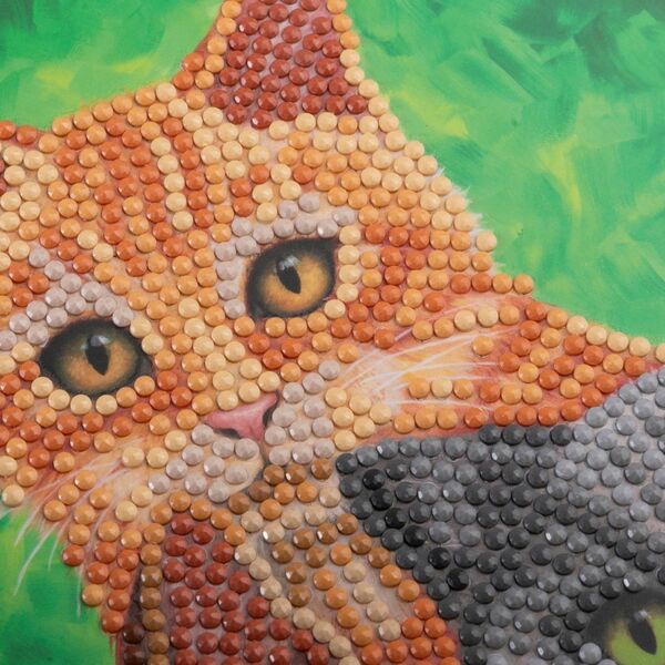 Cats, 18x18cm Crystal Art Card