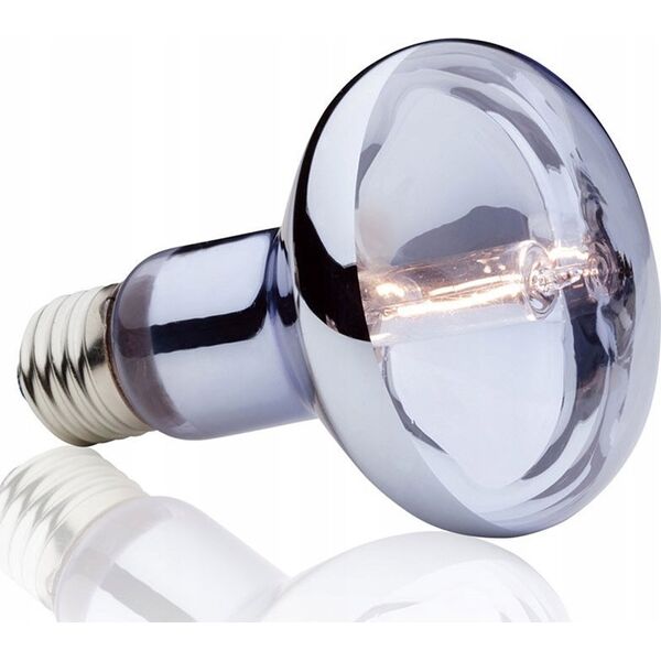 Hagen HAGEN-EXOTERRA HALOGEN SPOT BULB 100W - 000565 1221943 15561221832