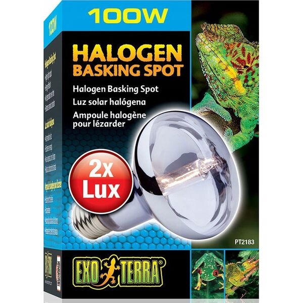 Hagen HAGEN-EXOTERRA HALOGEN SPOT BULB 100W - 000565 1221943 15561221832