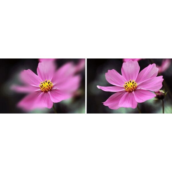 Filtr Ostry Pas Środek Center Field Split Diopter K&F NANO-B na 77 mm 77mm / KF01.2670V1