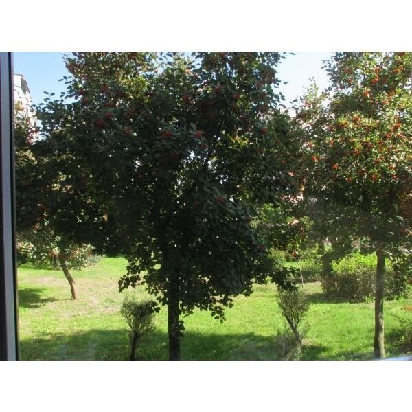 Πολωτικό Φίλτρο Cpl Mc12 Για Κάμερα Gopro Hero 13 Black / Telesin / S5-flt-08-tgp