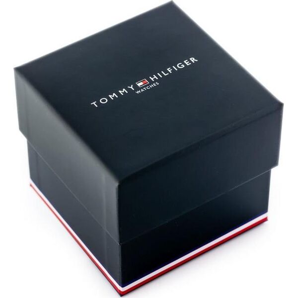 Zegarek Tommy Hilfiger ZEGAREK MĘSKI TOMMY HILFIGER 1791789 MASON (zf035a)