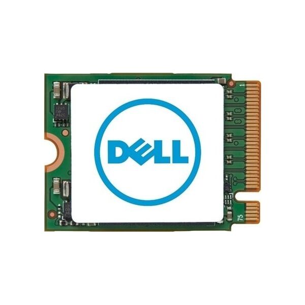 Dysk serwerowy Dell 2TB PCI-E x4 Gen 4 NVMe  (AD099078)