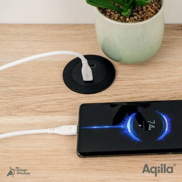 Καλώδιο Φόρτισης/Συγχρονισμού Aqiila Cablebird CS22 60W Type C Lightning 2m
