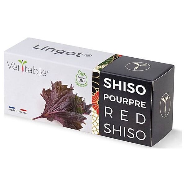 Véritable Lingot Μωβ σίζο - ΒΙΟ