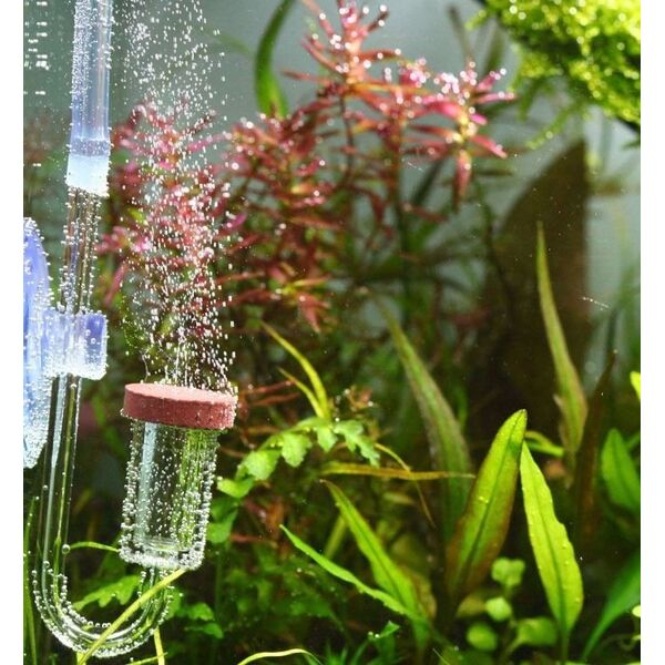 CO2 Neo diffuser Original M 100-250L