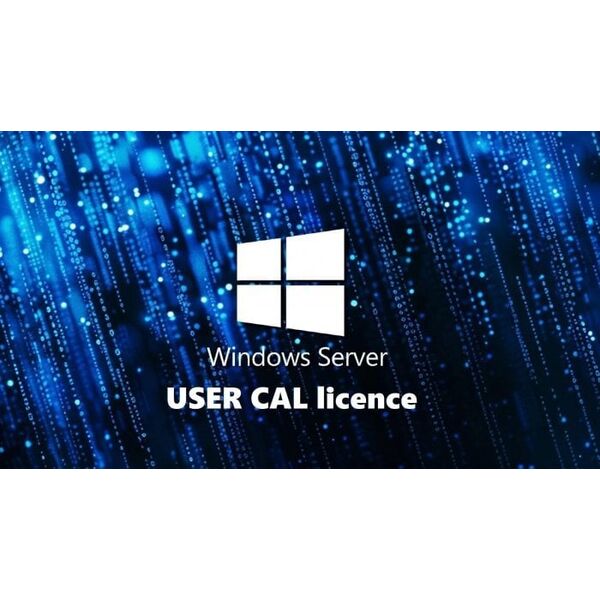 fujitsu technology solutions FUJITSU WINSVR CAL 2025 10User