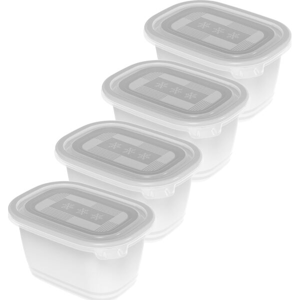 Rotho Zestaw pojemników Rotho FREEZE 4x0,75l