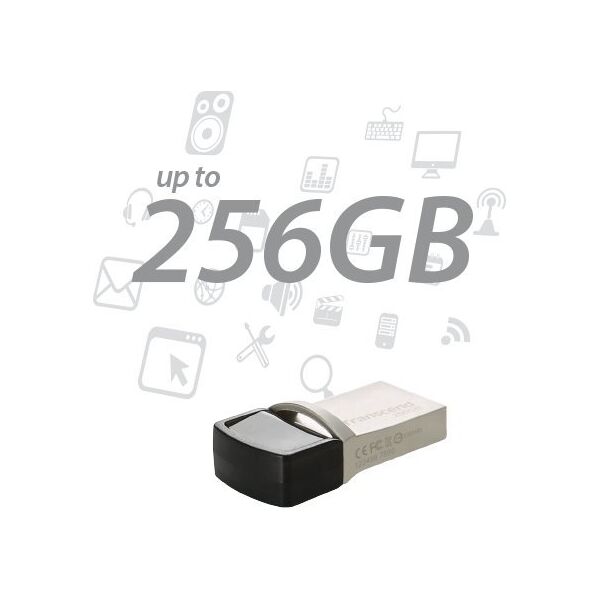 Transcend JetFlash 890 USB μνήμη 256 GB USB Type-A / USB Type-C 3.2 Gen 1 (3.1 Gen 1) Ασημί
