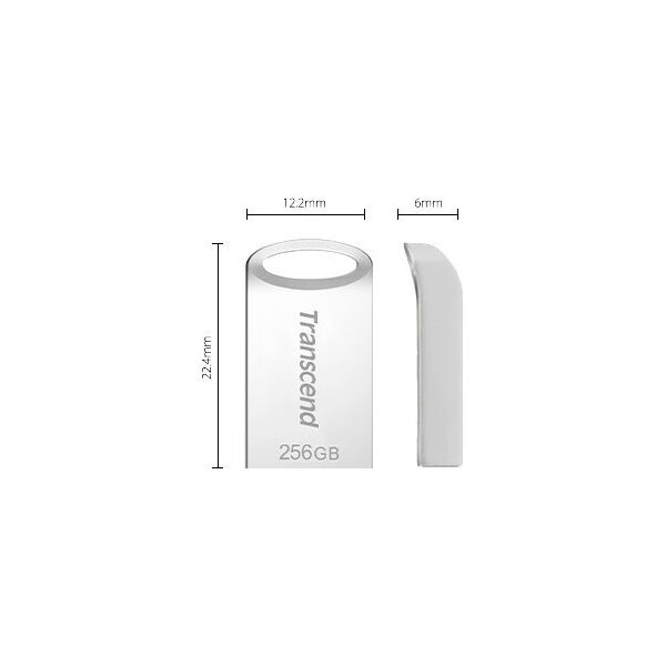 Transcend JetFlash 710S USB μνήμη 256 GB USB Τύπου-A 3.2 Gen 1 (3.1 Gen 1) Ασημί
