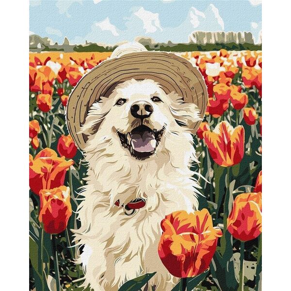 Malowanie po numerach -Szczęśliwy labrador 40x50cm