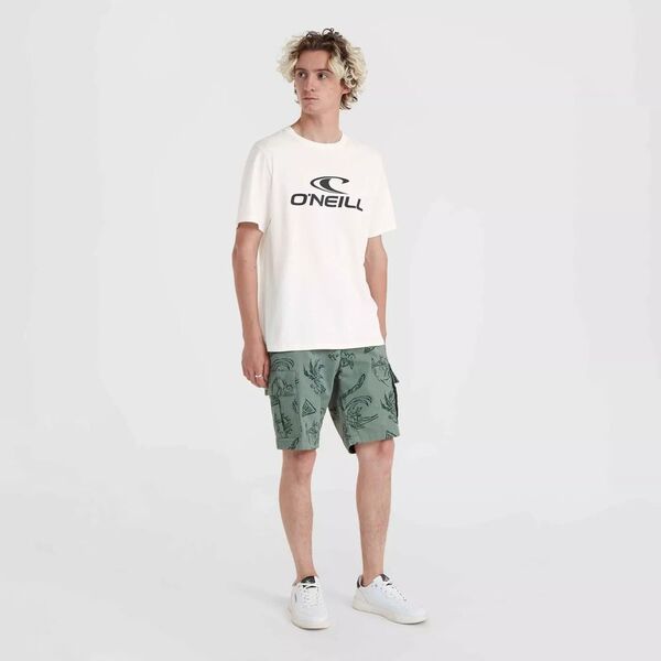 Męska koszulka z krótkim rękawem O'neill O'NEILL LOGO T-SHIRT rozmiar S