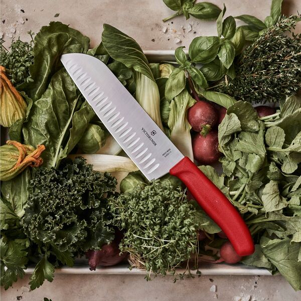 Victorinox Swiss Classic Santokumesser 17cm κόκκινο