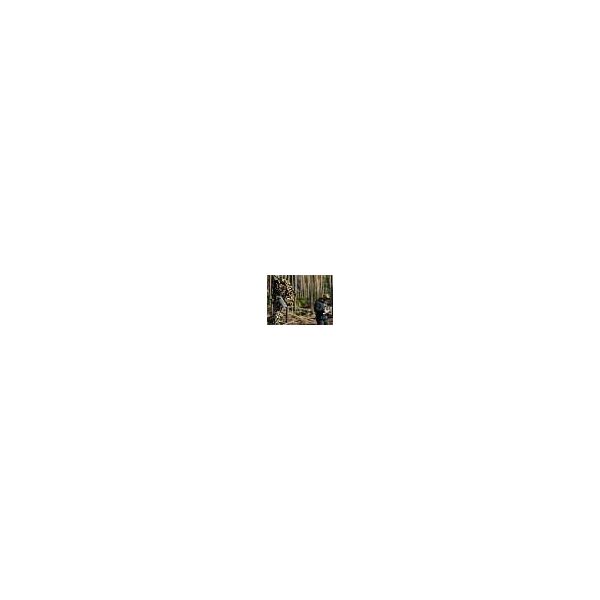 Plecak wyprawowy 15,6" Tracer Delta Camo