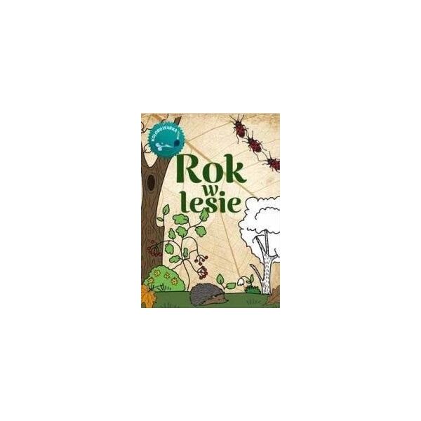 Rok w lesie Kolorowanka EDUKAMP
