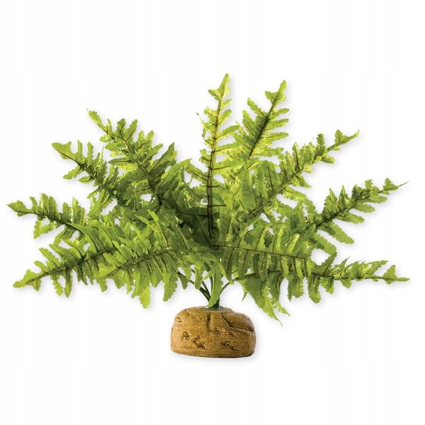 Hagen HAG.ROSL.D/TERRAR.BOSTON GERN 22CM 2990 - 58780 1652795 15561229906