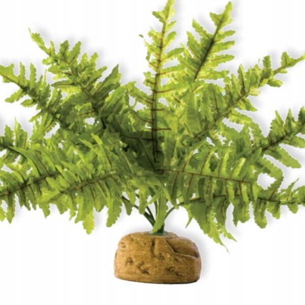 Hagen HAG.ROSL.D/TERRAR.BOSTON GERN 22CM 2990 - 58780 1652795 15561229906
