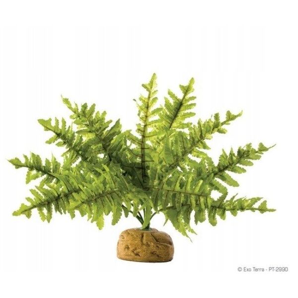 Hagen HAG.ROSL.D/TERRAR.BOSTON GERN 22CM 2990 - 58780 1652795 15561229906