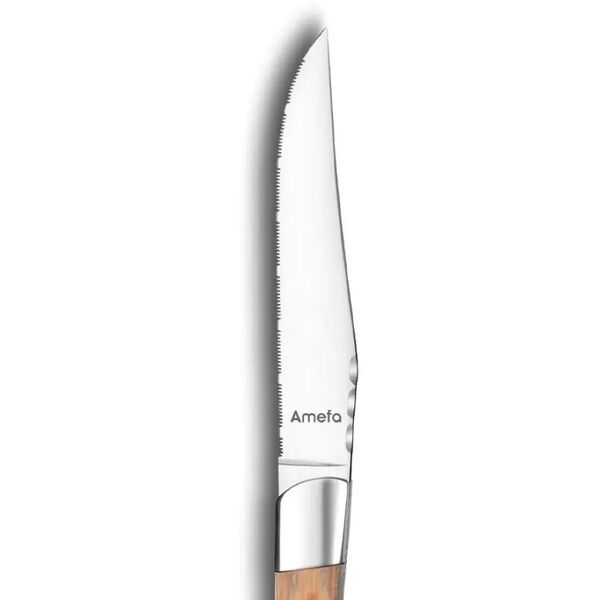 Σετ μαχαιριών μπριζόλας Amefa Amefa Royal Steak 2520 - 4 τεμ. με ξύλινη λαβή και ξύλινο κουτί