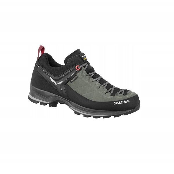 Γυναικεία παπούτσια mtn trainer 2 gtx - σκιά-μαύρο-uk 6,5 (40) SALEWA