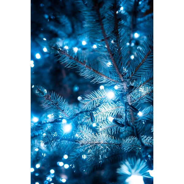 Extralink | Λαμπάκια LED | 200L ψυχρό λευκό, μήκ. 3 + 10 μ εσωτ/εξωτ