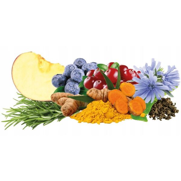 ONTARIO Cat Hair & Skin 2kg (Μαλλί και δέρμα)