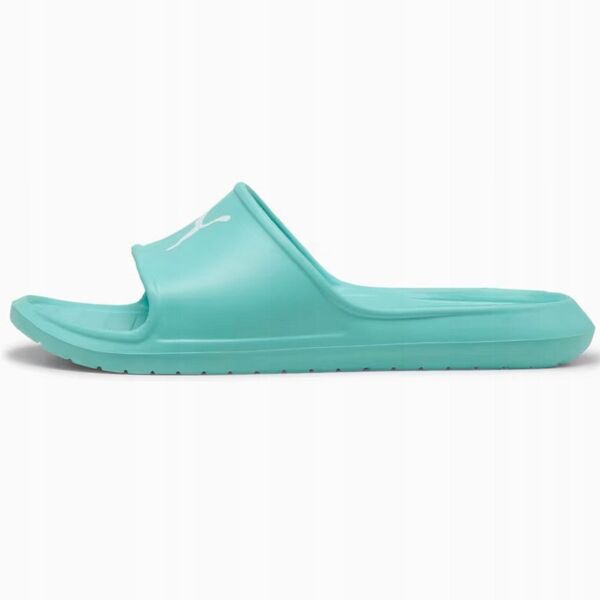 Σαγιονάρες Puma Divecat v2 Lite Cat 386713-18
