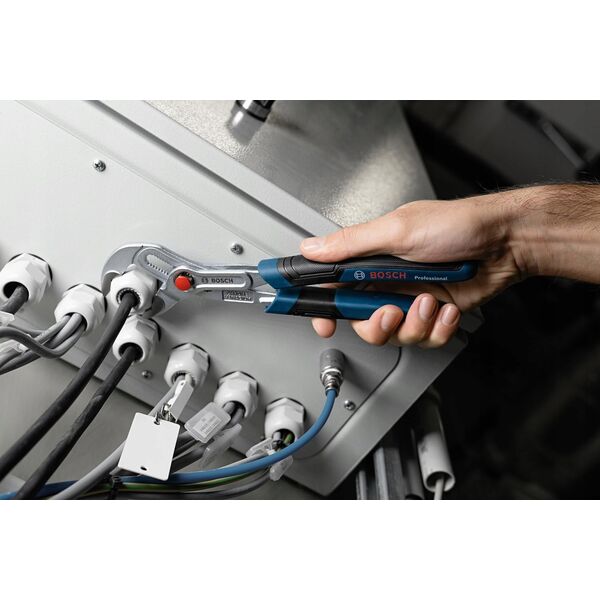 Bosch Bosch Wasserpumpenzange 250mm (1600A02W3N)