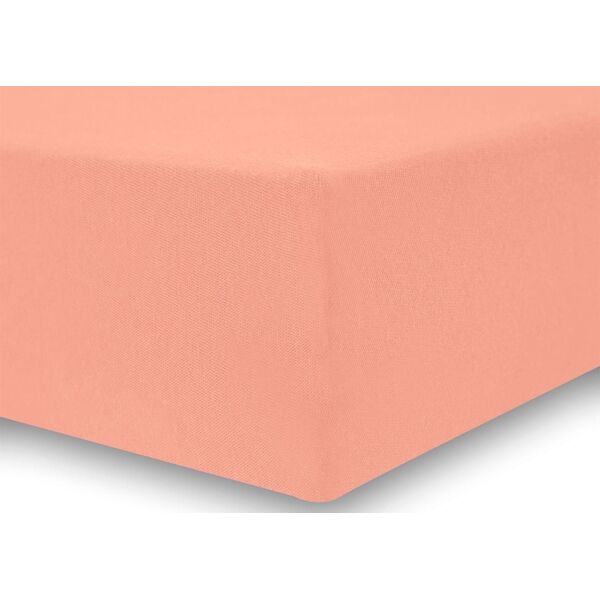 Decoking DecoKing PRZEŚCIERADŁO Z GUMKĄ PEACH 100-120x200+30