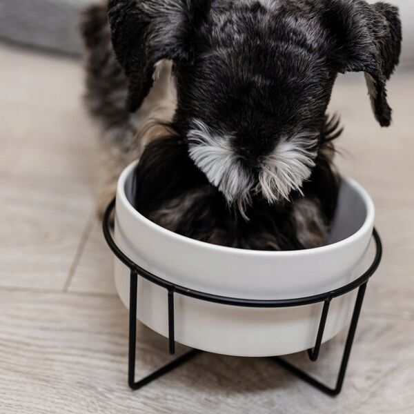MISKA TYP2