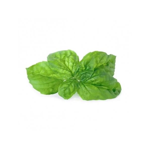 Véritable Lingot Μαμούθ Βασιλικός