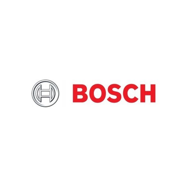 Bosch Bosch peg driver 1", 25.4mm x 300mm, chisel