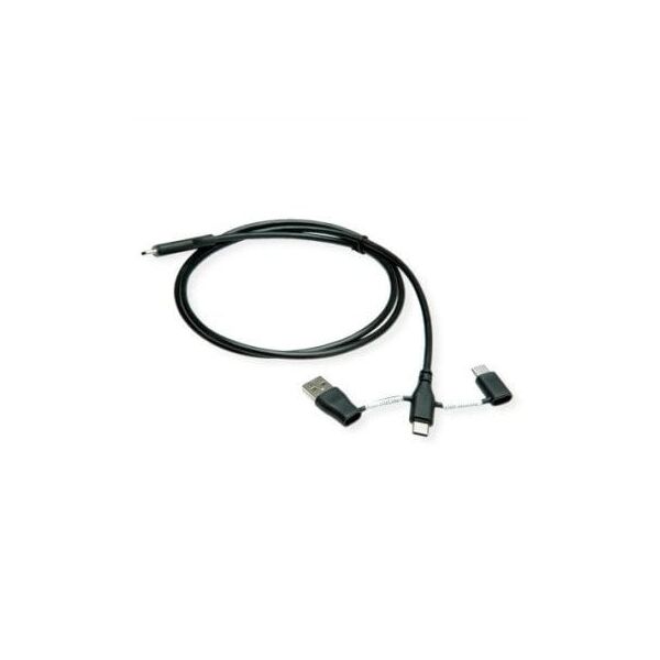 Καλώδιο ROLINE USB 2.0, C-C, με μπλοκαρίσματα διαδρομών δεδομένων A+C, 1 m