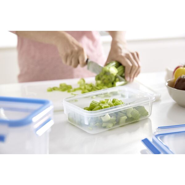 Δοχείο αποθήκευσης τροφίμων Masterseal Fresh Box ορθογώνιο 1 60L 4168430001427
