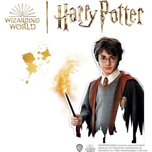 SES Harry Potter malowanka w kamieniu 09341 93419