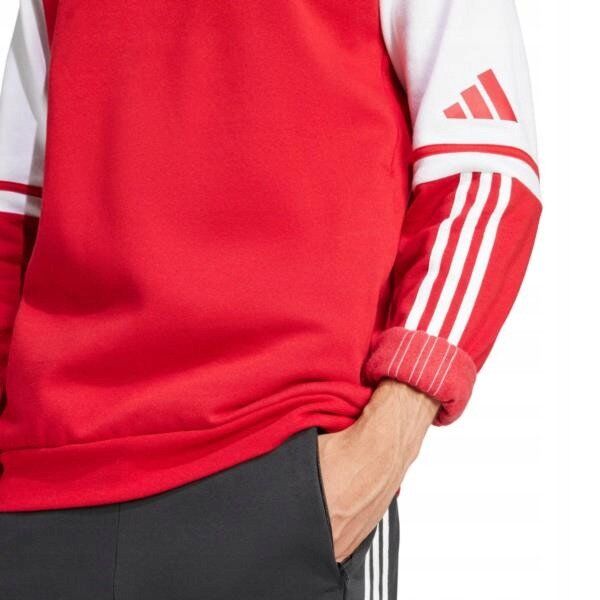 Φούτερ adidas SQUADRA 25 Sweet Hoody JD2973