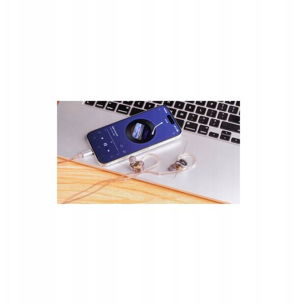 FiiO JD10 TC - złącze Type-C - διαφανές μαύρο - Δυναμικά ακουστικά in-ear