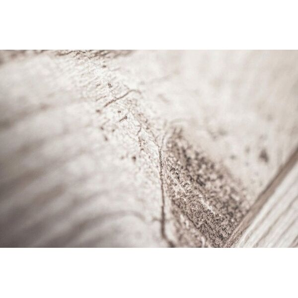 WALLPAPER 101693 FRESCO WOOD PLANK NEUTR