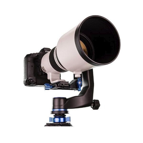 Głowica Benro Benro głowica gimbalowa GH5C