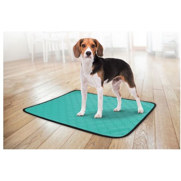REUSABLE ABSORB PADS GREEN 69X41.5CM