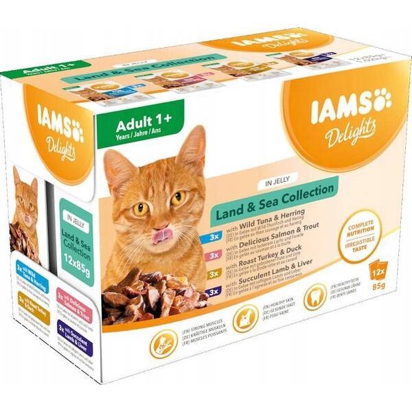 Iams Cat Adult Land & Sea collection in Jelly 12x85g