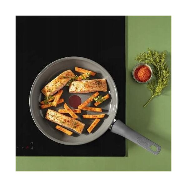 Tefal Ανανέωση 24 cm τηγάνι - Panna cepsanai