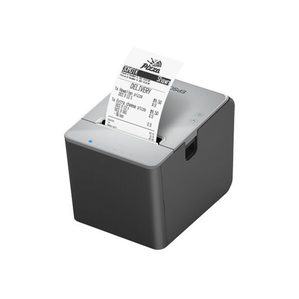 EPSON TM-L100 (103A0): USB