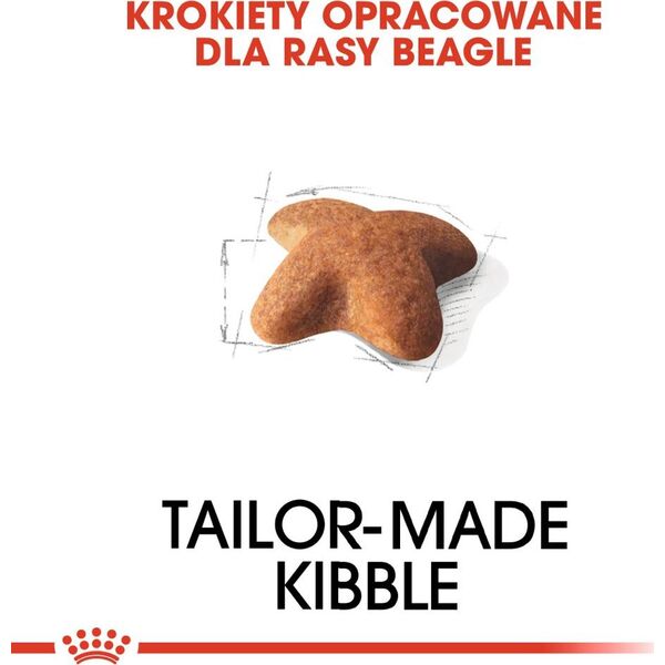 Royal Canin Beagle Adult karma sucha dla psów dorosłych rasy beagle 3 kg
