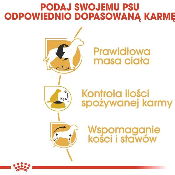 Royal Canin Beagle Adult karma sucha dla psów dorosłych rasy beagle 3 kg