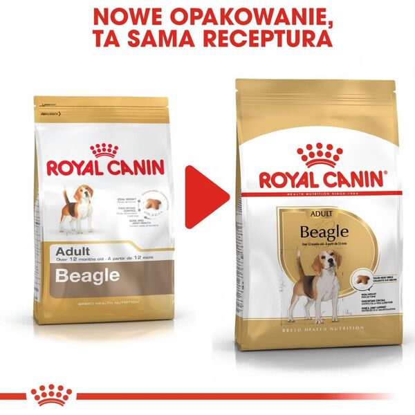 Royal Canin Beagle Adult karma sucha dla psów dorosłych rasy beagle 3 kg