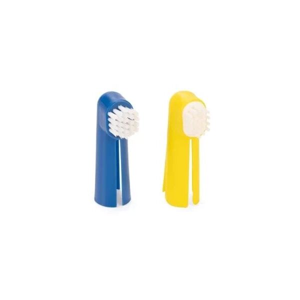 TOOTH CARE SET KARLIE 2PCS