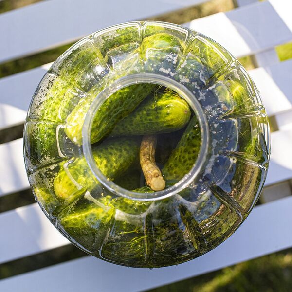MULTIFUNCT. 8L PLASTIC JAR FOR FERMEN.