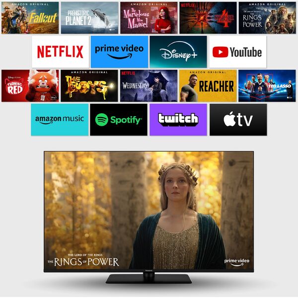 Panasonic TV-65W80AEZ schwarz